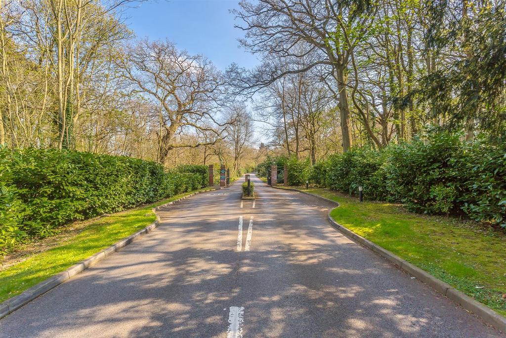 Wvgh Bngem Eyd N3 OS4mv8u A.jpg