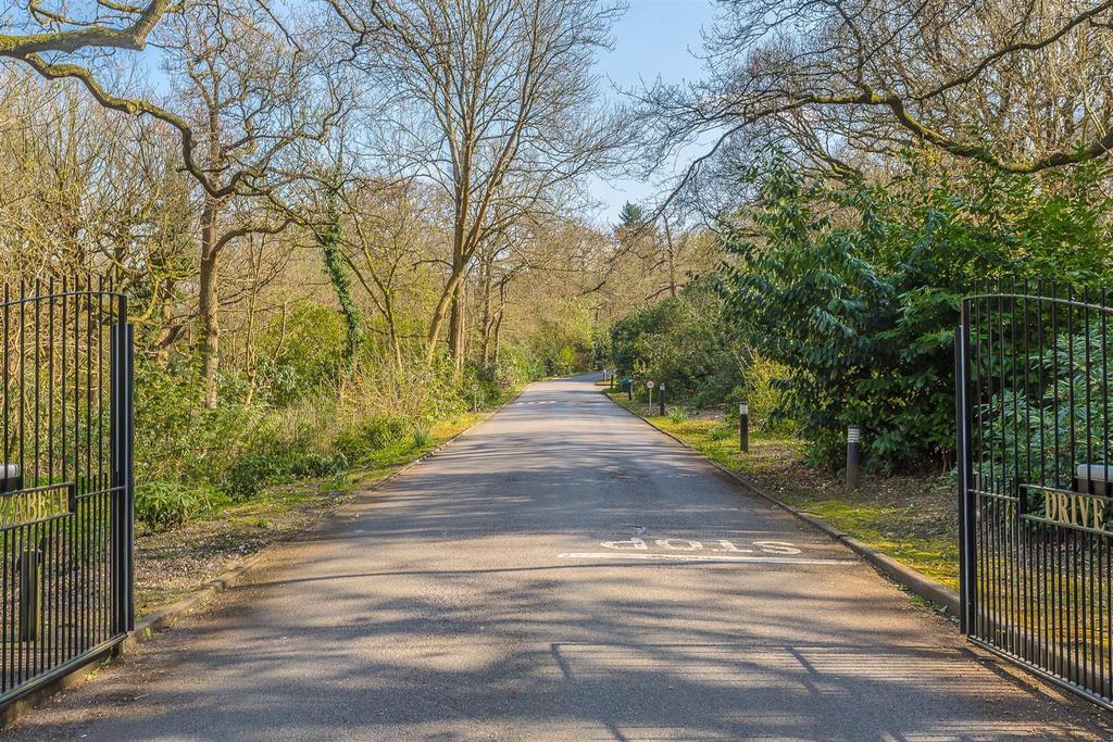 4lxnlv83 Gkicv6f HMlauw Q.jpg