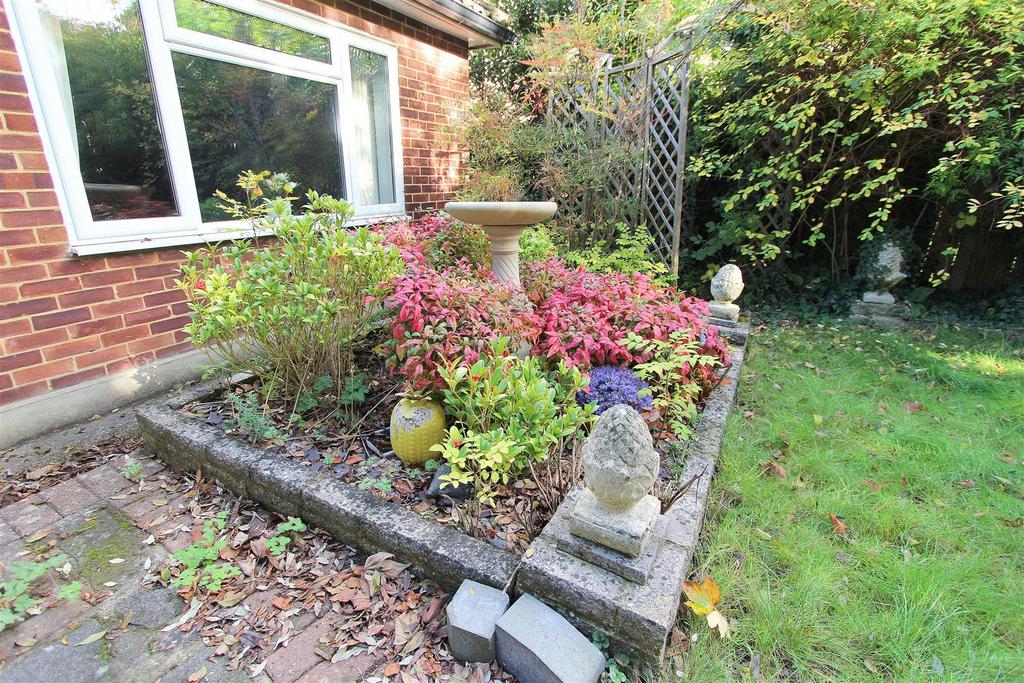 Garden c.jpg