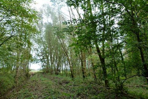 undefined, Glede Wood, nr. Telford, Shropshire TF10