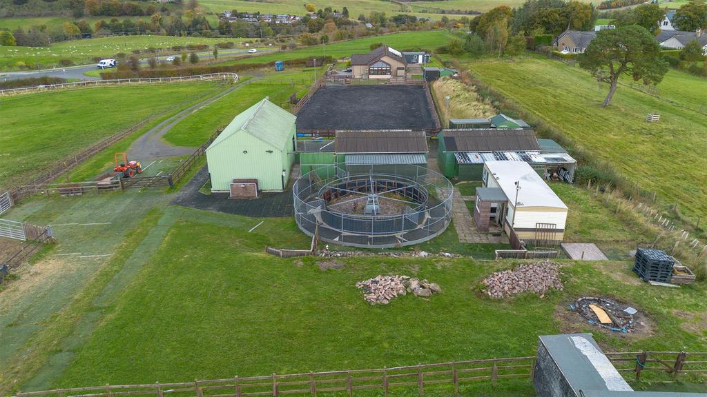 DJI 0306.jpg