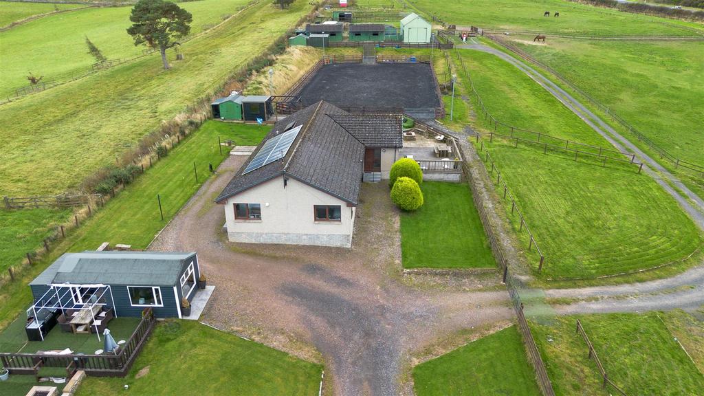 DJI 0338.jpg