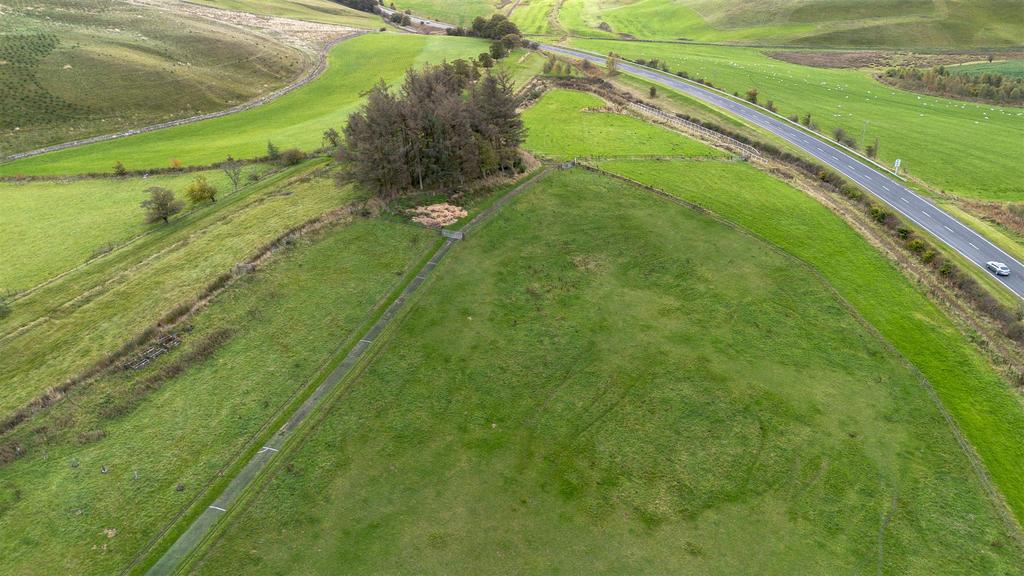 DJI 0299.jpg