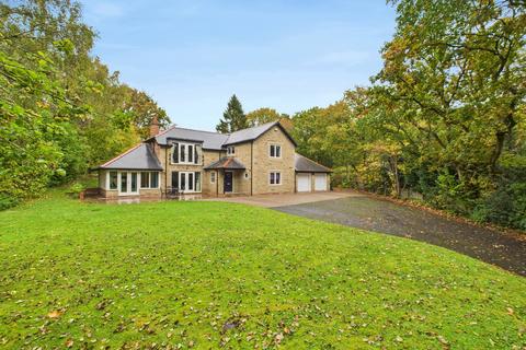 undefined, High Horse Close Wood, Rowlands Gill, NE39