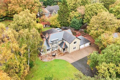undefined, High Horse Close Wood, Rowlands Gill, NE39