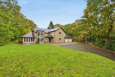 undefined, High Horse Close Wood, Rowlands Gill, NE39