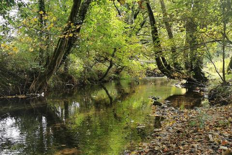 Land for sale, 3.33 Acres with River Frontage/Fishing - Hoo Meavy