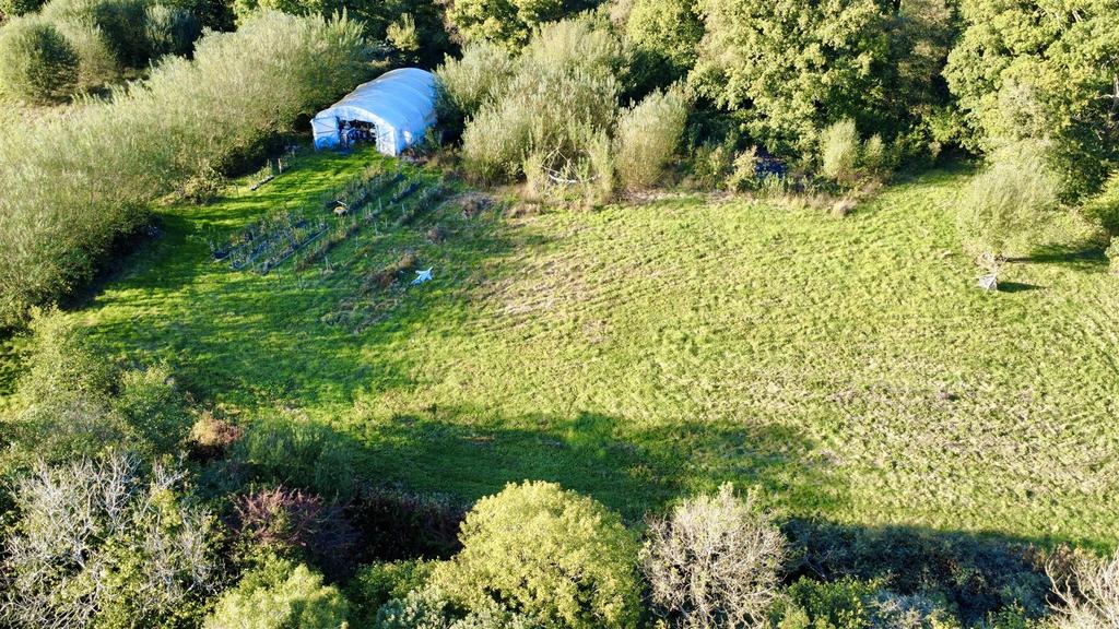 Dji fly 20250925 165708 943 1760706669690 photo op