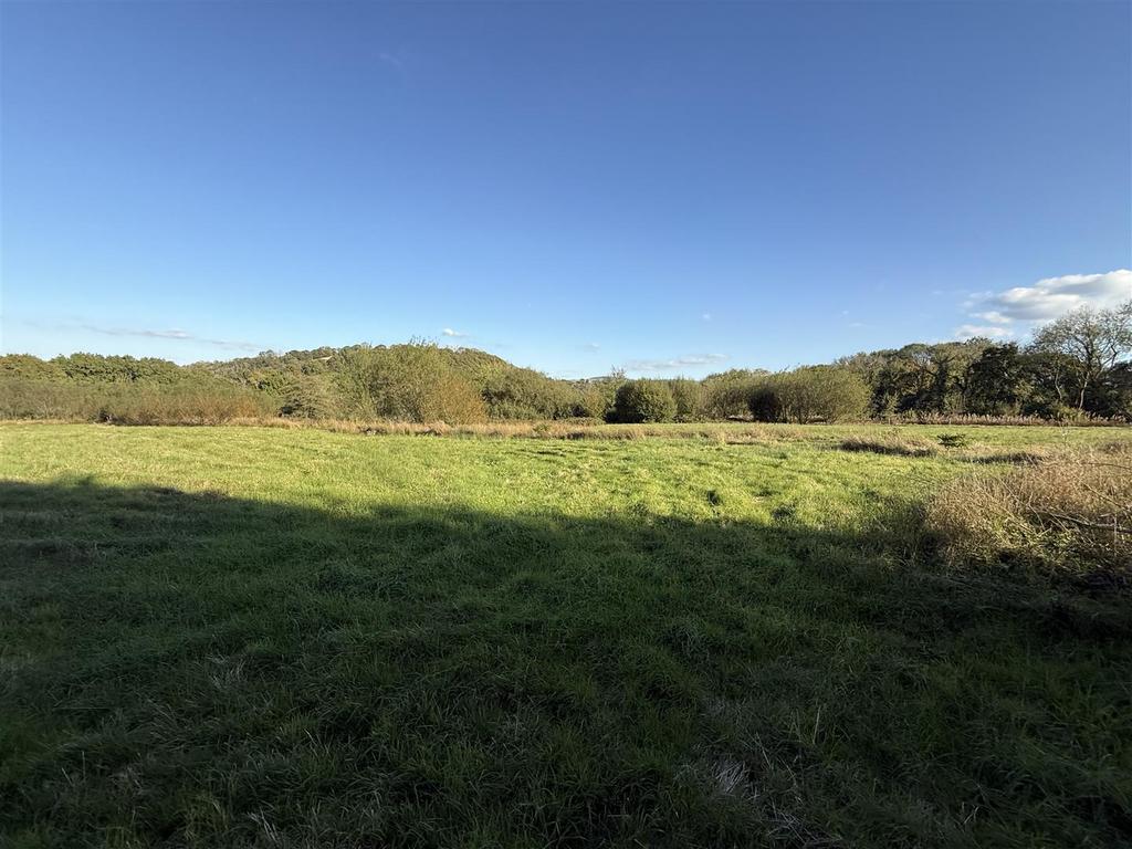 The Land