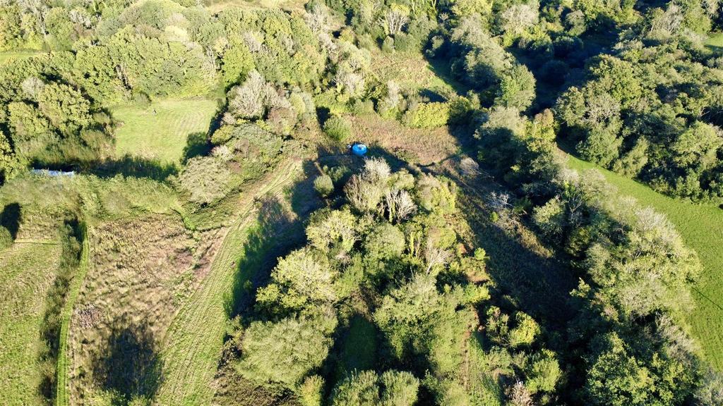 Dji fly 20250925 165446 934 1760706669708 photo op