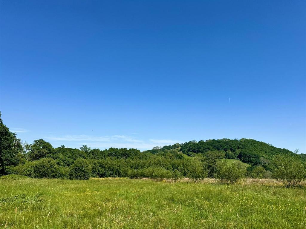 The Land