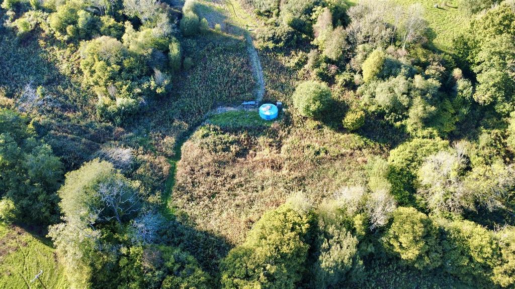 Dji fly 20250925 165630 939 1760706669698 photo op