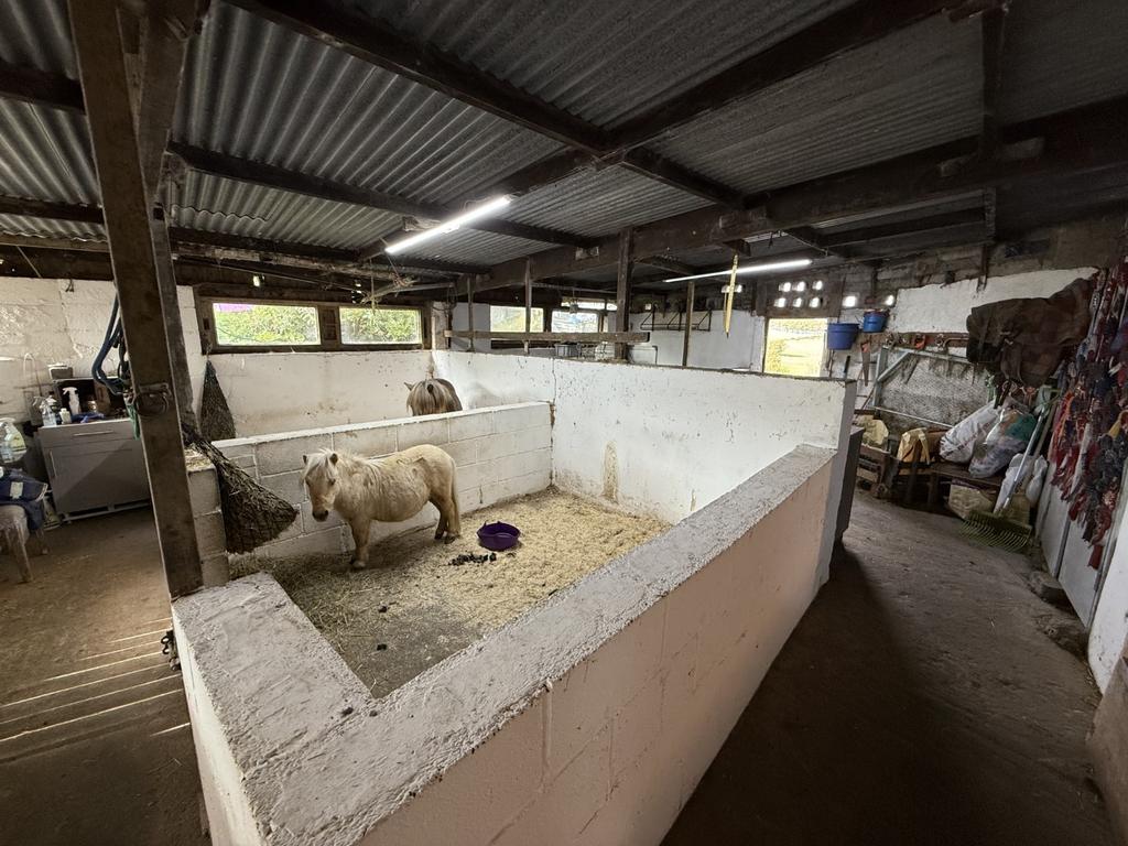 Large Multi Purpose Barn