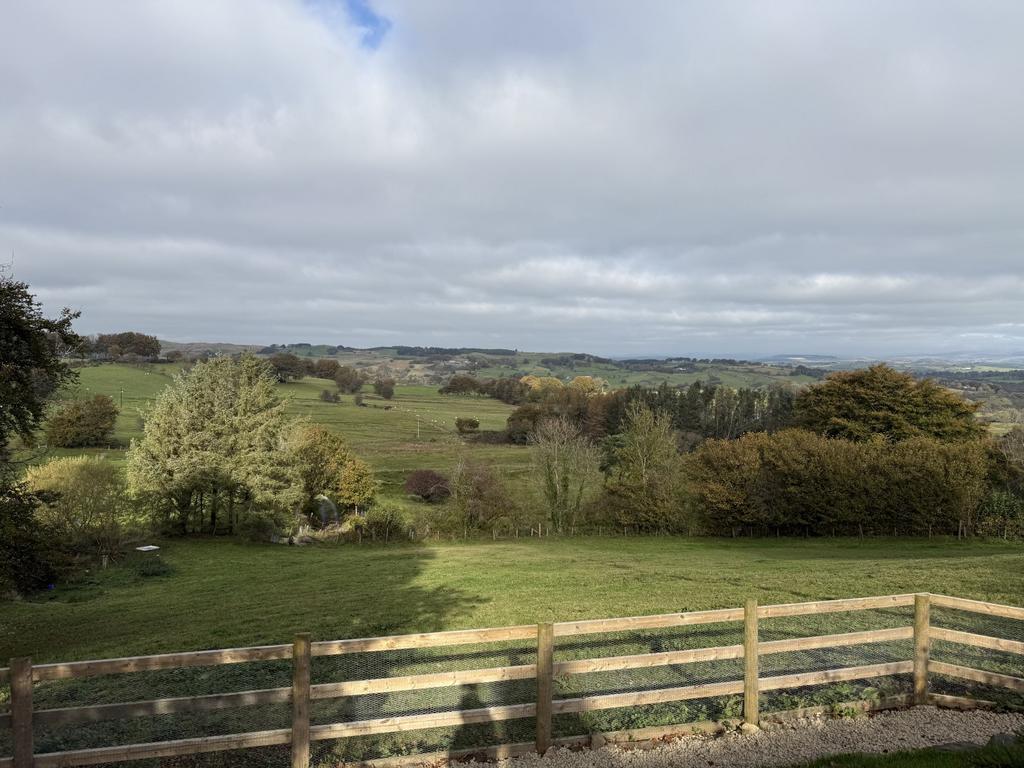 The land