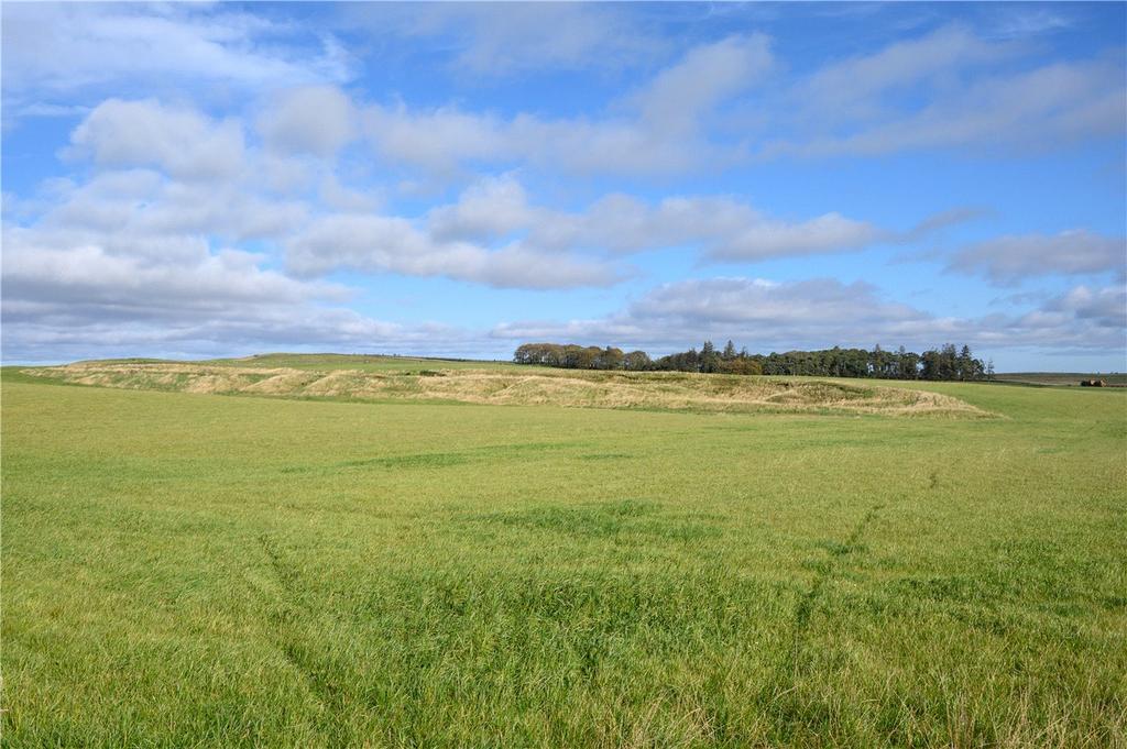Lot 2