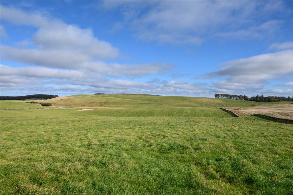 Lot 2