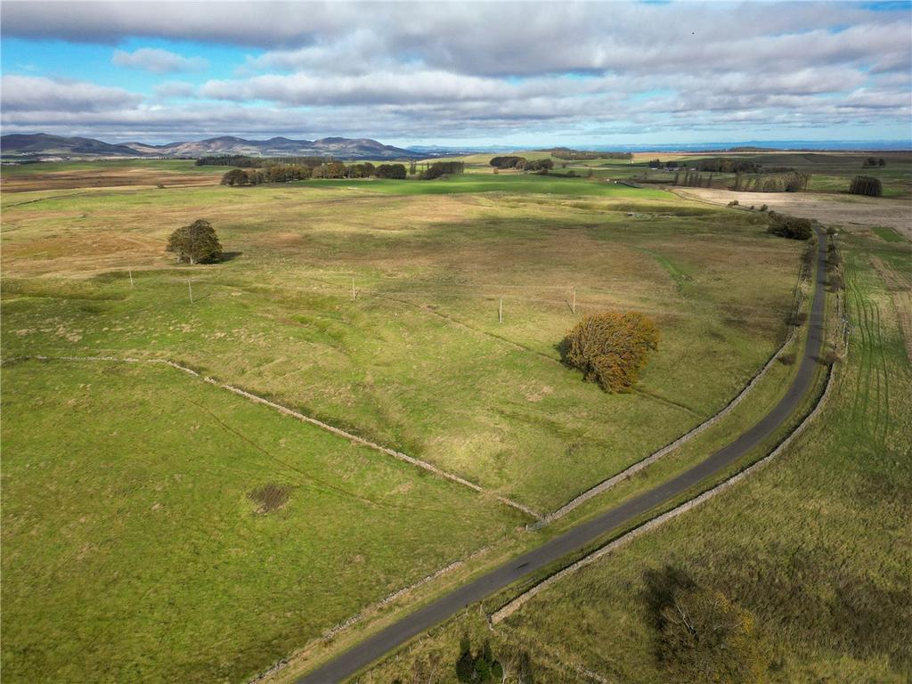 Lot 1
