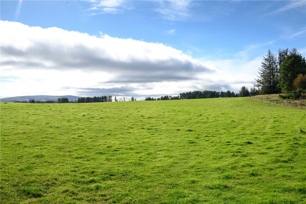 Lot 1