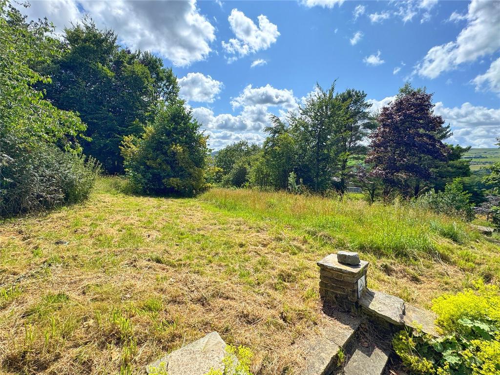 Front Lawn