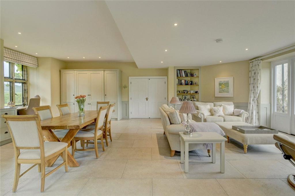 Kitchen/Living Area