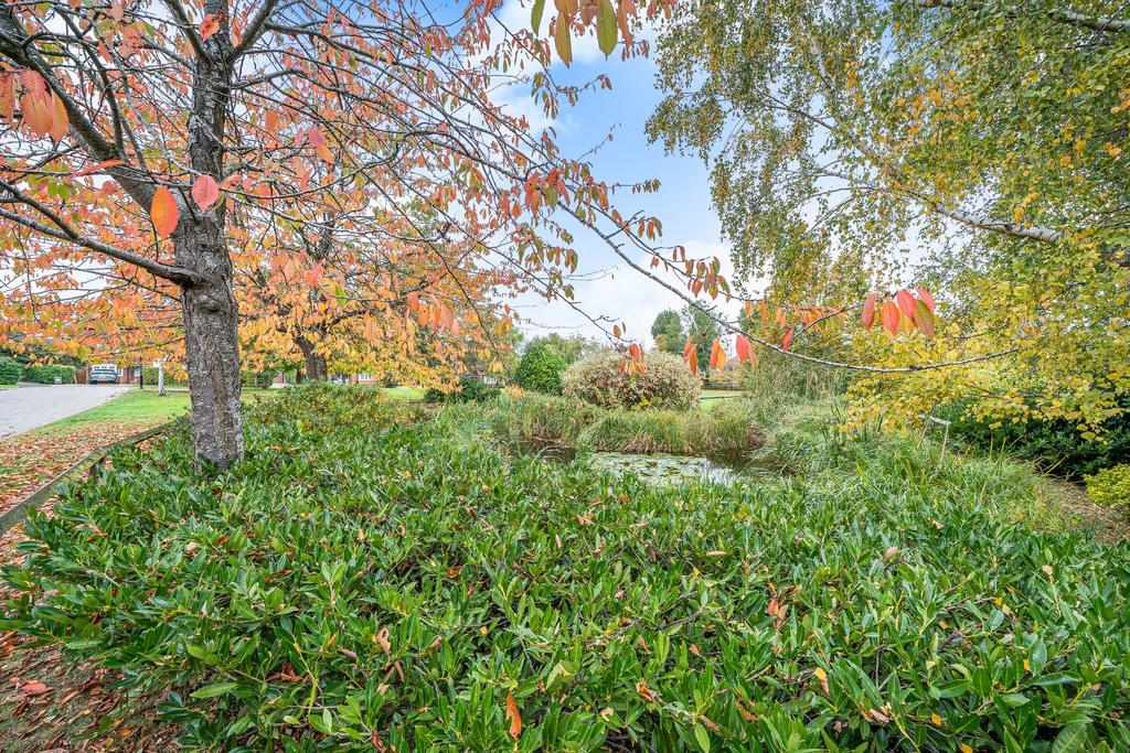 Communal Green