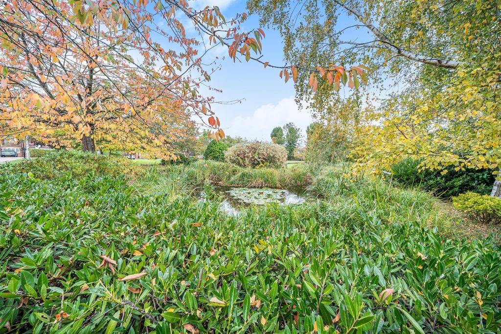 Communal Green