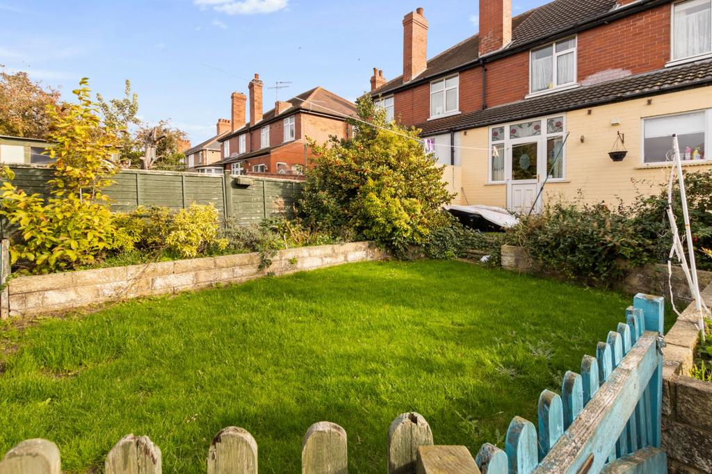 Lawn Area