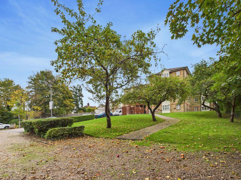 Communal Garden