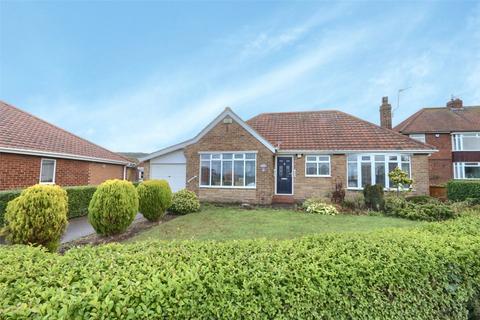 Hollywalk Avenue, Normanby