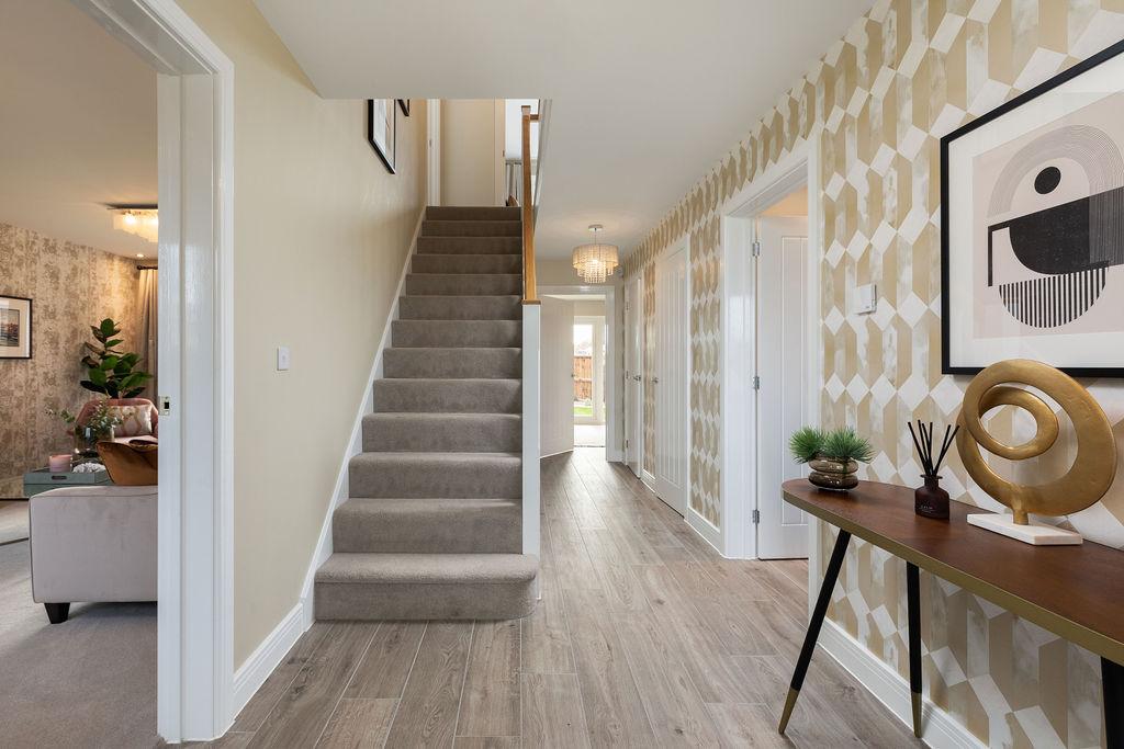 Showhome Photography