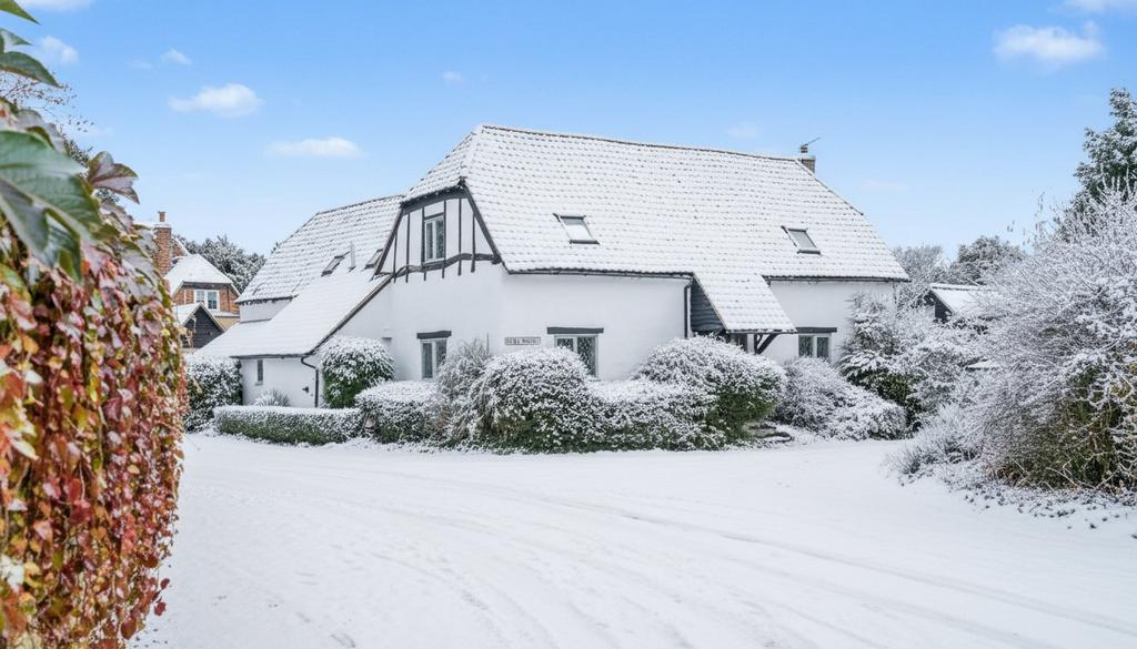 Winter Scene