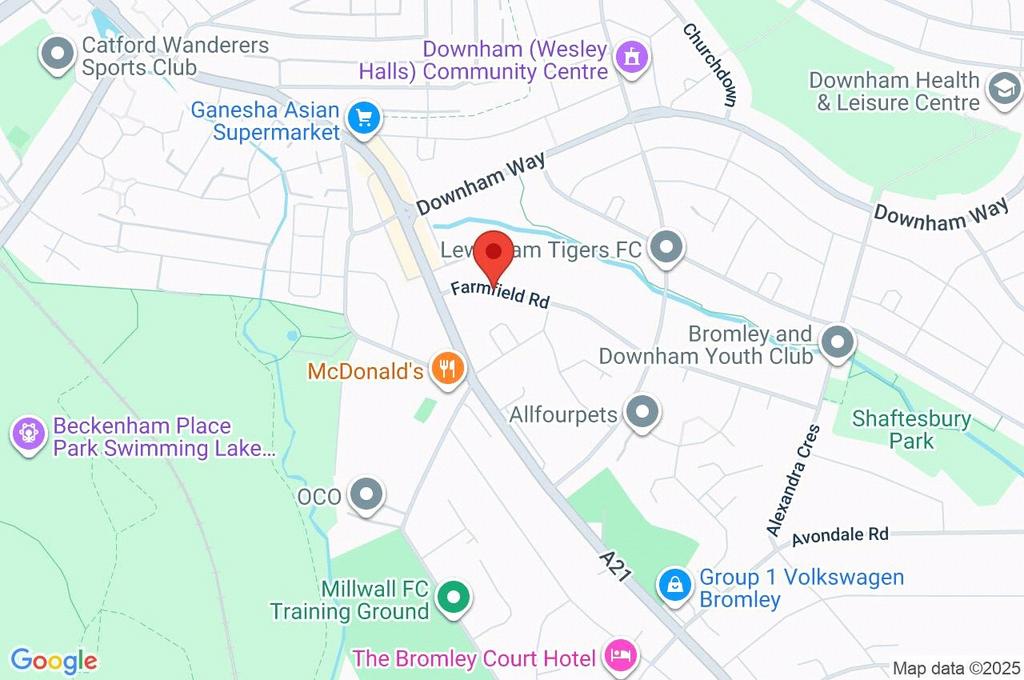 Google Maps Image