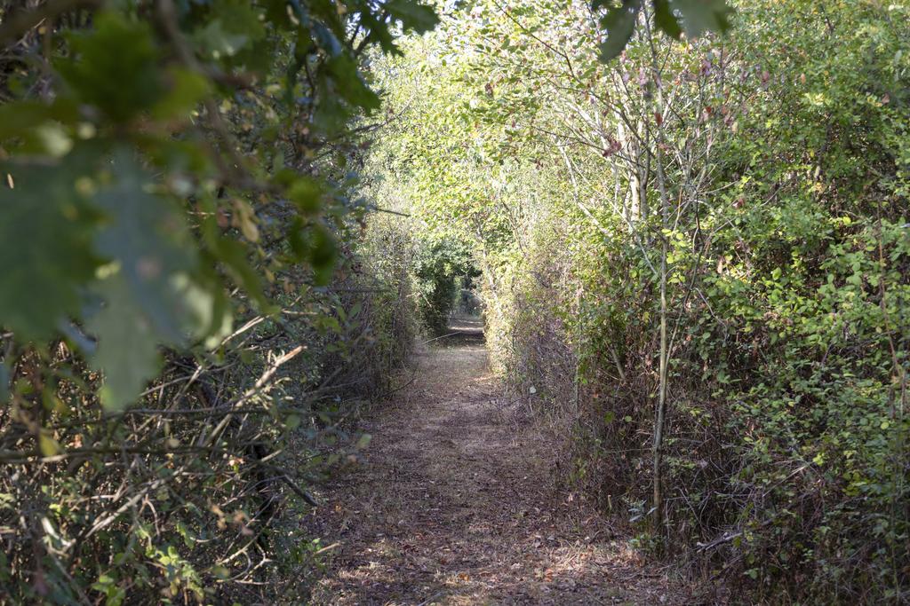 Bunny Lane, Romsey, SO51 0 PG NB20