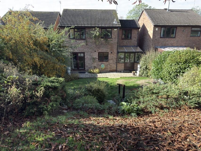Rear Garden Pic 3