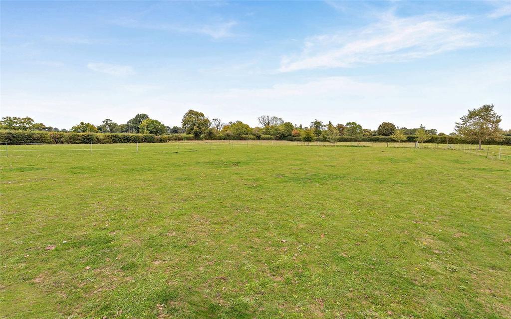 Grounds