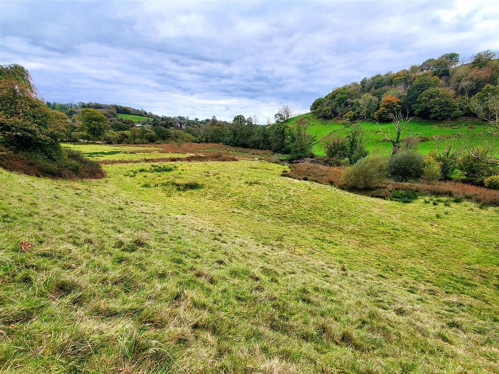 The land