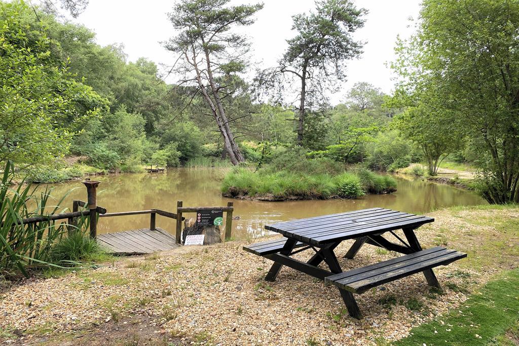 Fishing Lake