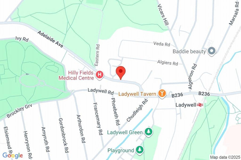 Google Maps Image