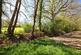 Additional image 32 of Ridgley Road, Godalming GU8