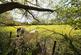 Additional image 34 of Ridgley Road, Godalming GU8