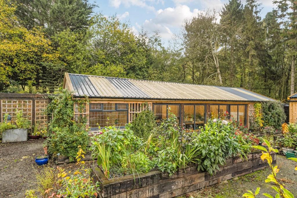 Greenhouse.jpg