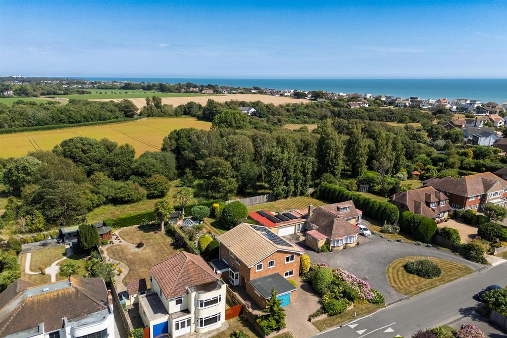 77 Golden Avenue Drone-1.jpg