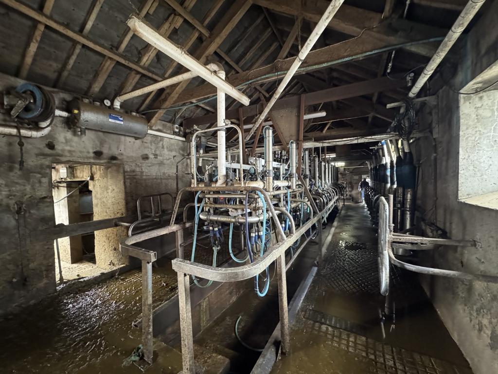Milking Parlour