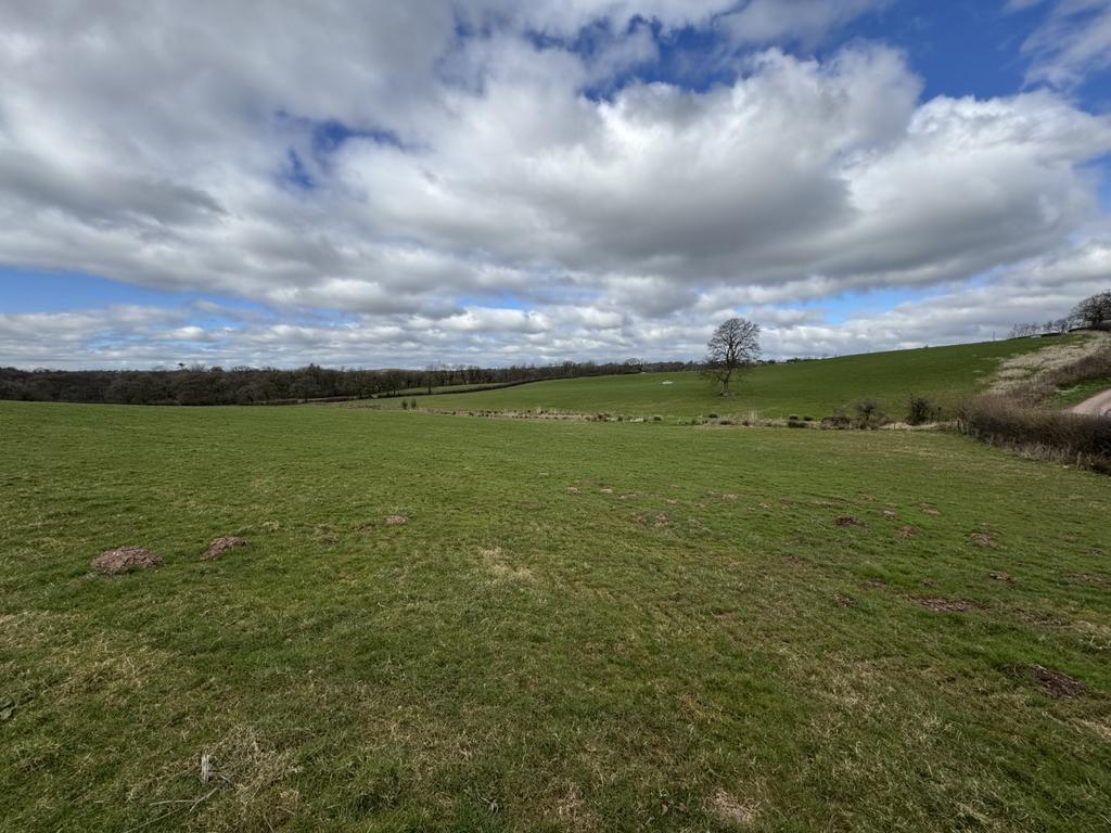 Penrhiw farm land