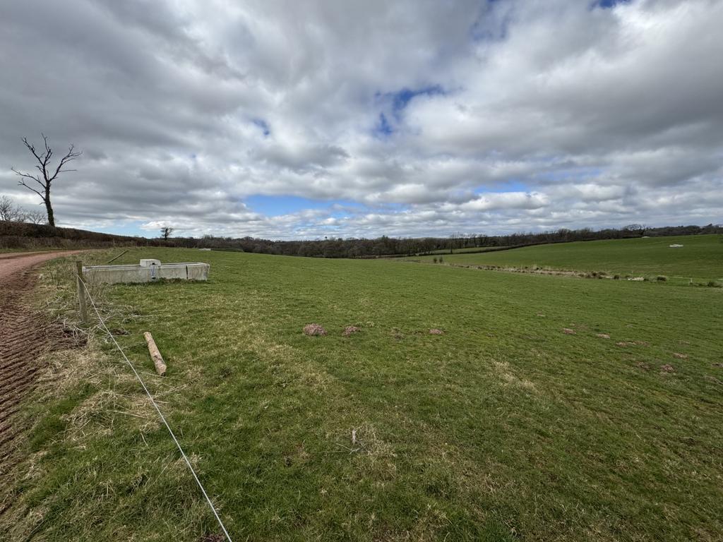 Penrhiw farm land