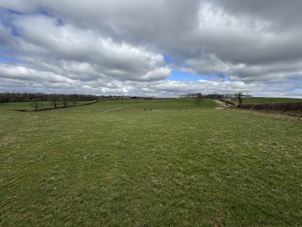Penrhiw farm land