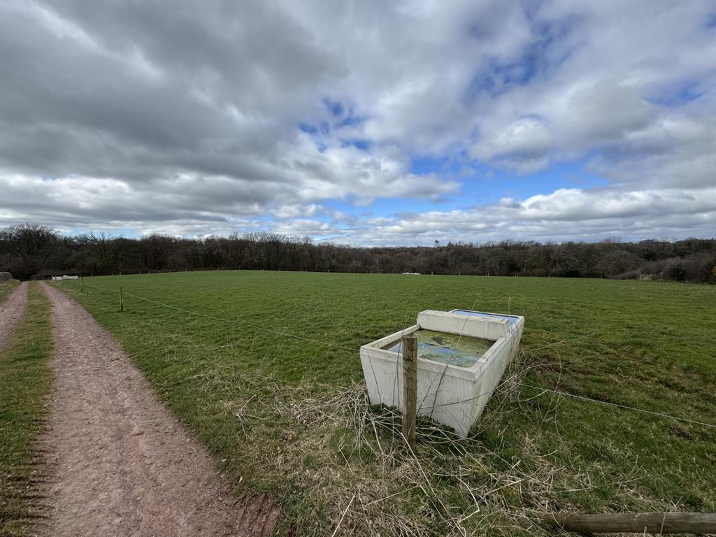 Penrhiw farm land