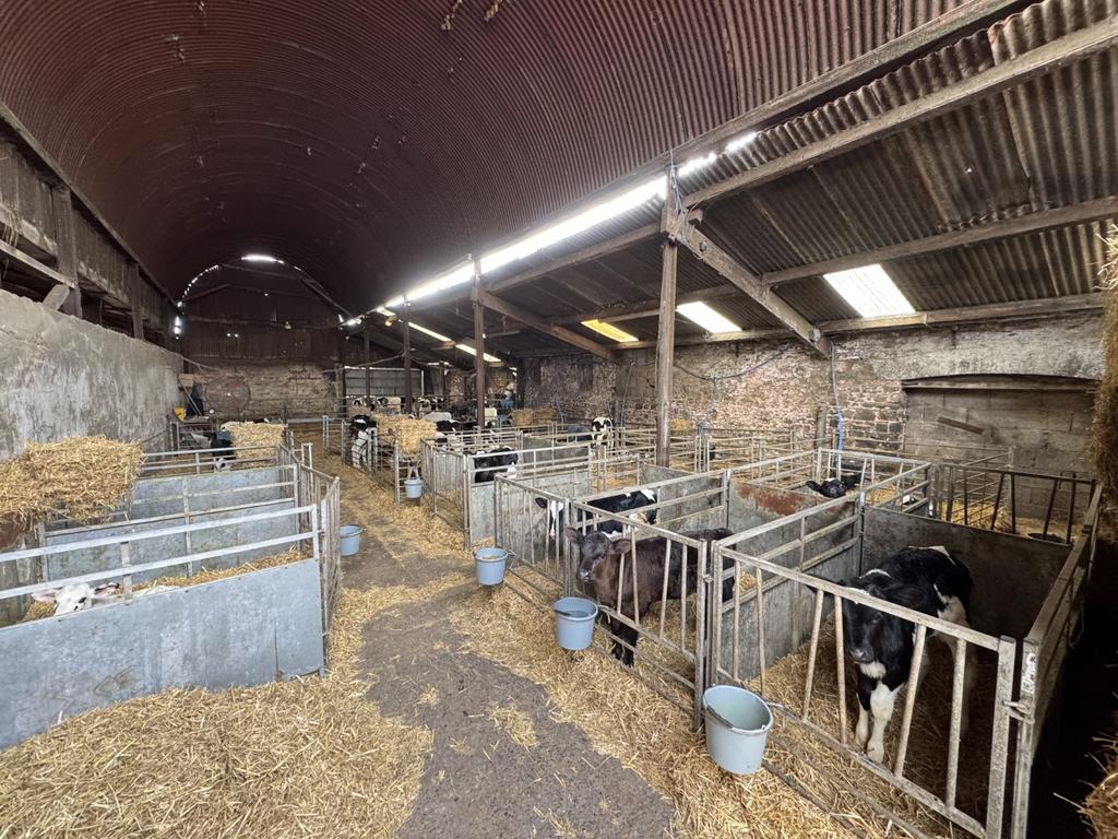 Hay Barn/Calving Shed