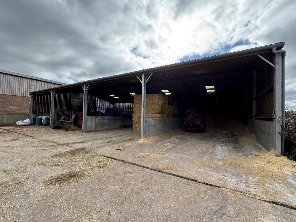 Open Store &amp; Feed Shed