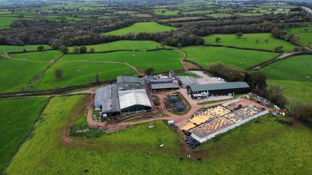 Main Farmyard